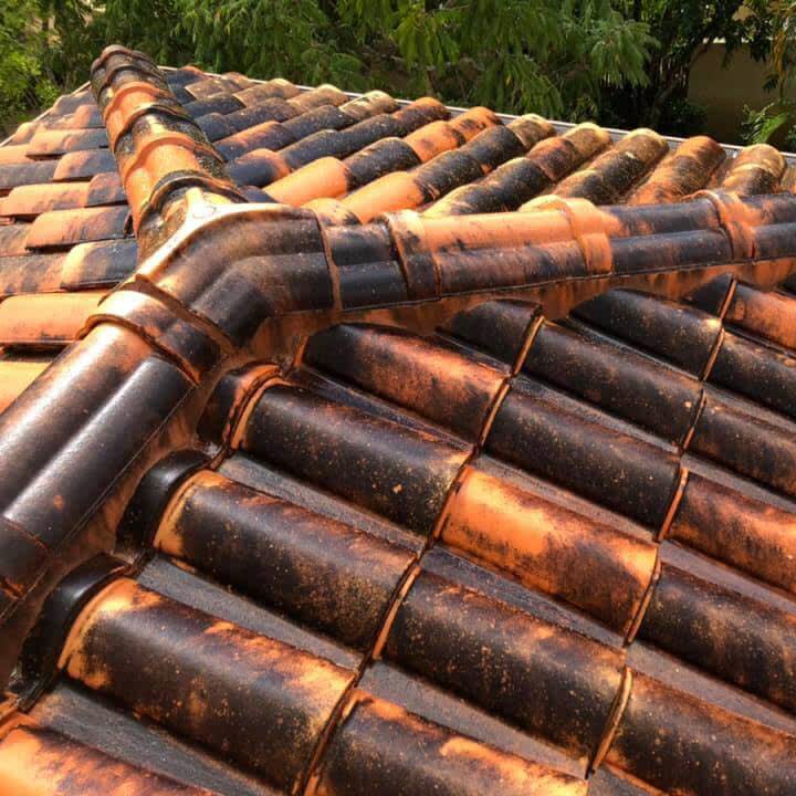 Terracotta roof tile cleaning — before