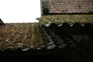 a stone fireplace with moss growing on it